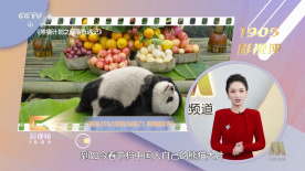 女作家的隐秘私生活